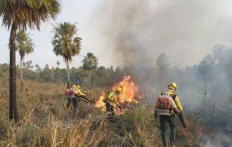 'A população deve cobrar', defende ambientalista diante das queimadas
