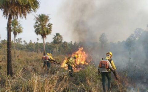 'A população deve cobrar', defende ambientalista diante das queimadas