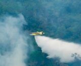 Aeronaves federais lançam mais de 1 milhão de litros de água contra incêndios no Amazonas