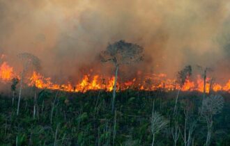 Amazonas registra quase 32 mil focos de queimadas em cinco dias