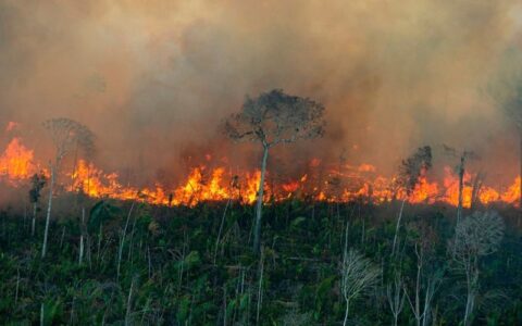Amazonas registra quase 32 mil focos de queimadas em cinco dias