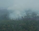 Amazonas tem 16 municípios em alerta por qualidade do ar
