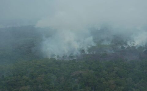 Amazonas tem 16 municípios em alerta por qualidade do ar