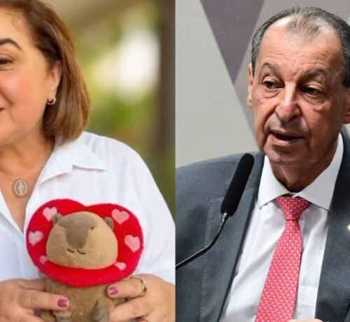 Após vídeo excluído de Maria do Carmo, capivara vira 'mascote' de aliados de Omar Aziz