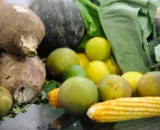 Articulação é essencial para garantir segurança alimentar