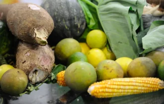 Articulação é essencial para garantir segurança alimentar