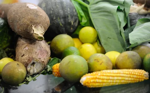 Articulação é essencial para garantir segurança alimentar
