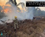 Bombeiros combatem incêndio em vegetação na AM-254