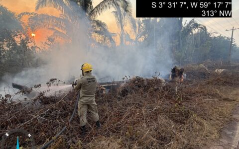 Bombeiros combatem incêndio em vegetação na AM-254