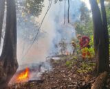 Qualidade do ar em Manaus gera cobranças por maior visibilidade nacional