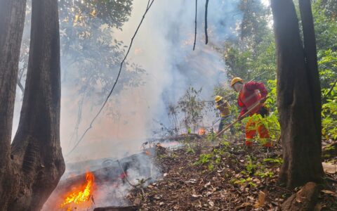 Qualidade do ar em Manaus gera cobranças por maior visibilidade nacional