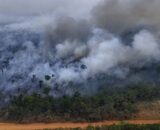 Desmatamento e queimadas elevam emissões de carbono na Amazônia