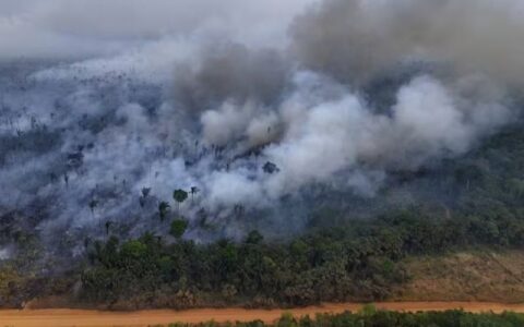 Desmatamento e queimadas elevam emissões de carbono na Amazônia