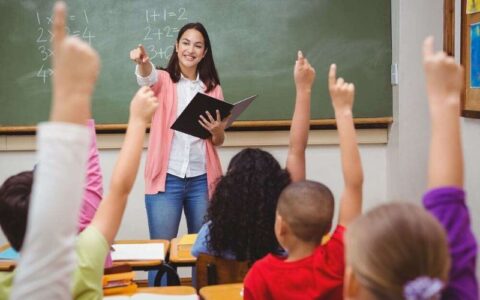 Dia do Professor: data celebra educadores e destaca importância do ensino no Brasil