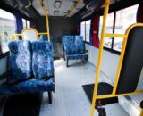 Eleitores com deficiência terão transporte gratuito na eleição