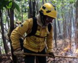 Equipamentos ajudam a proteger brigadistas durante combate às queimadas no Amazonas