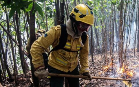 Equipamentos ajudam a proteger brigadistas durante combate às queimadas no Amazonas