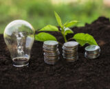Financiamento climático: responsabilidade fiscal também é responsabilidade constitucional