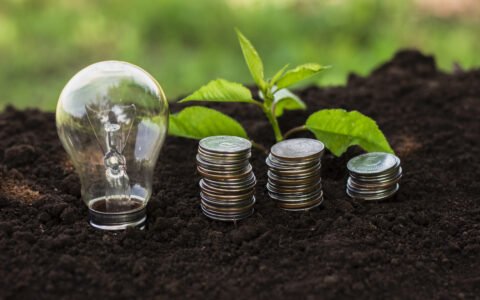 Financiamento climático: responsabilidade fiscal também é responsabilidade constitucional
