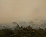 Força Nacional do SUS apoia atendimentos no Amazonas após incêndios