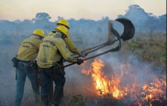Força-tarefa reduz focos de incêndio no Amazonas