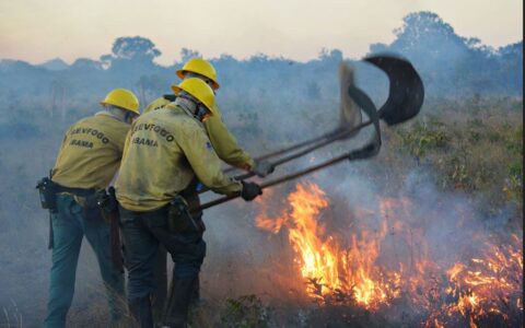 Força-tarefa reduz focos de incêndio no Amazonas