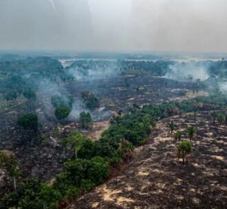 Governo federal autoriza quase R$ 8 milhões para municípios afetados por queimadas no AM