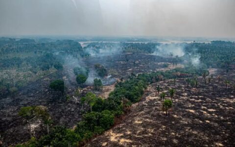 Governo federal autoriza quase R$ 8 milhões para municípios afetados por queimadas no AM