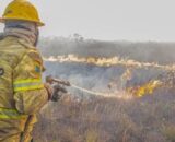 Governo Federal investiga se há organização por trás dos incêndios no AM