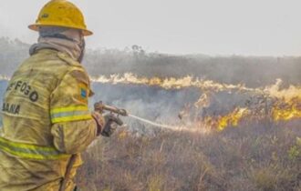 Governo Federal investiga se há organização por trás dos incêndios no AM