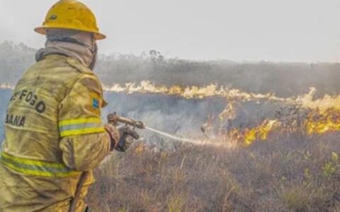 Governo Federal investiga se há organização por trás dos incêndios no AM