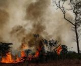 Governo Lula destina R$ 45,2 milhões para ações humanitárias no Amazonas