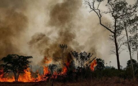 Governo Lula destina R$ 45,2 milhões para ações humanitárias no Amazonas