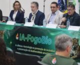 IA-FogoBio prevê incêndios na Amazônia com até 14 dias de antecedência