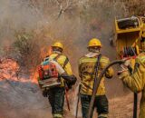 Ibama anuncia três aeronaves para queimadas após Bombeiros relatarem negativa federal
