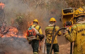 Ibama anuncia três aeronaves para queimadas após Bombeiros relatarem negativa federal