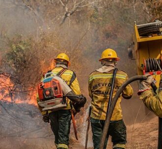 Ibama extinguiu 229 incêndios no Amazonas