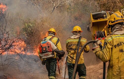 Ibama extinguiu 229 incêndios no Amazonas