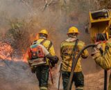 Incêndio perto da Reserva do Juma pode ser criminoso