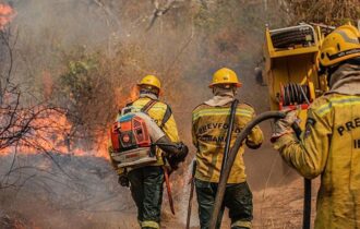 Incêndio perto da Reserva do Juma pode ser criminoso