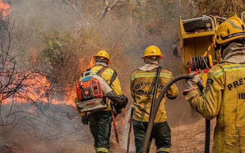 Incêndio perto da Reserva do Juma pode ser criminoso