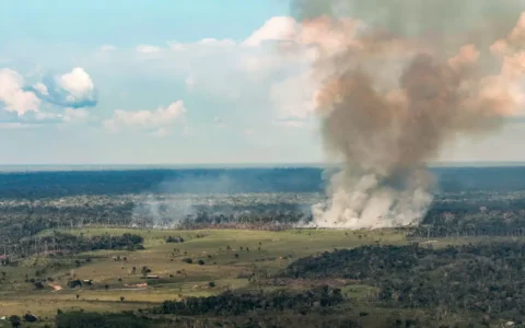 Oeste do Pará enfrenta incêndios e ar insalubre