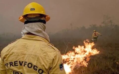 Incêndios criminosos no Amazonas podem gerar multas de até R$ 10 mil por hectare