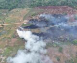 Ipaam multa proprietário de terreno em R$ 100 mil após incêndio e queima de pneus em terreno no Careiro da Várzea