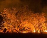 Justiça Federal dá dez dias para governos explicarem ações contra queimadas na Amazônia