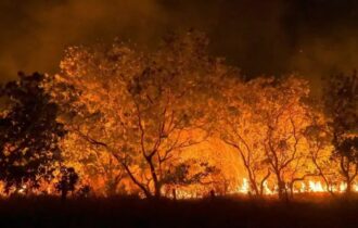 Justiça Federal dá dez dias para governos explicarem ações contra queimadas na Amazônia
