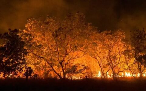 Justiça Federal dá dez dias para governos explicarem ações contra queimadas na Amazônia