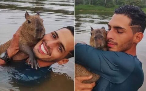 Justiça Federal determina que Agenor entregue capivara Filó ao Ibama em 30 dias