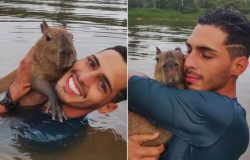 Justiça Federal determina que Agenor entregue capivara Filó ao Ibama em 30 dias