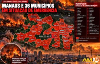 Manaus e 36 municípios do Amazonas estão em emergência por causa das queimadas